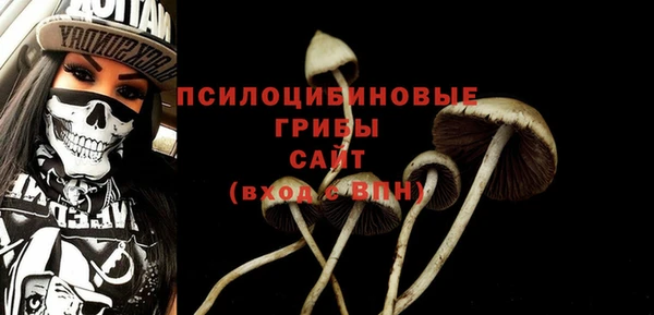 спиды Арсеньев