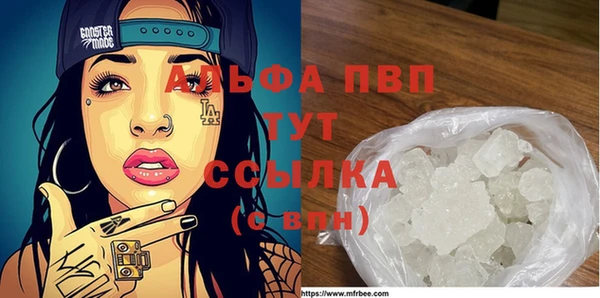 спиды Арсеньев