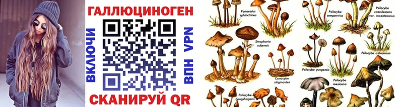 mega зеркало  Краснообск  Псилоцибиновые грибы мухоморы 